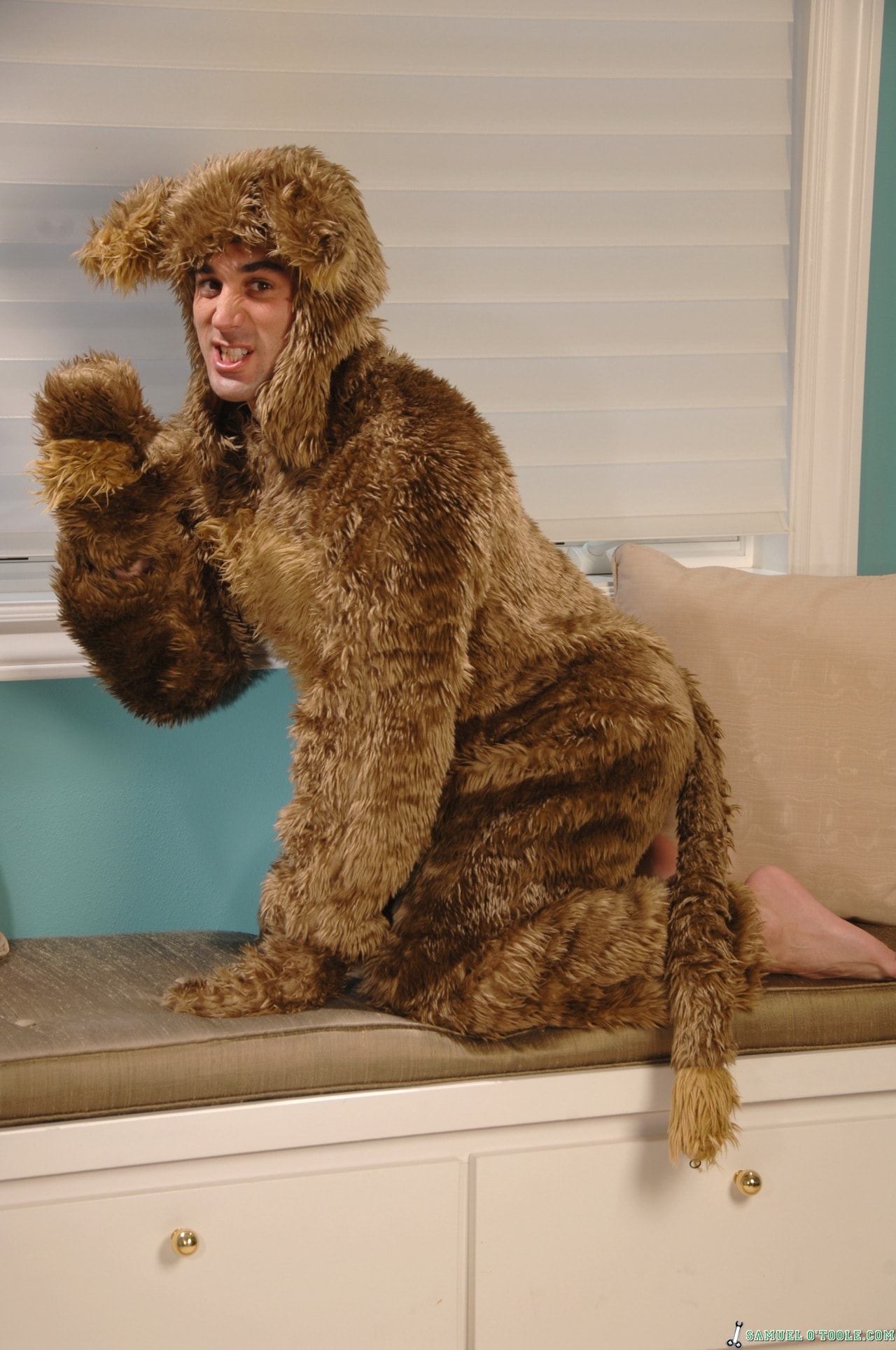Next Door Studios 'Bearly Fur Real' starring Samuel O'Toole (Photo 1)